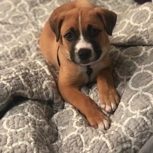 Meet your Posher, Kelly